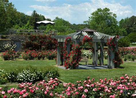 Norfolk botanical gardens - The flamingo topiary frames are built from welded tubular steel and will have six different poses and dimensions. Each frame will be filled with pink begonias and all sculpted faces will be repainted for optimal display. Each frame will contain around 80 plants and will be planted upon arrival at the Garden. 